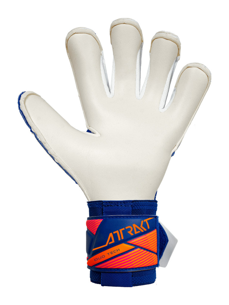 Reusch Attrakt Duo Evolution 2026 Goalkeeper Gloves - Sharp Blue-White-Shocking Orange