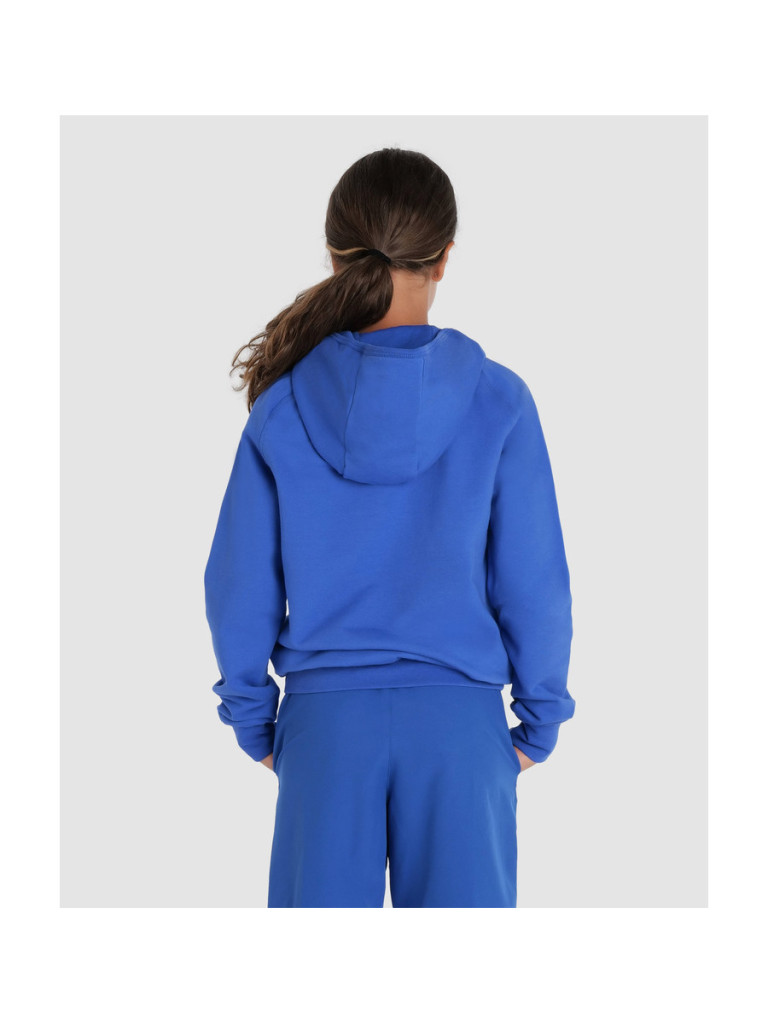 Горнище с качулка за деца Arena Junior Team Hooded Sweat Panel - Royal